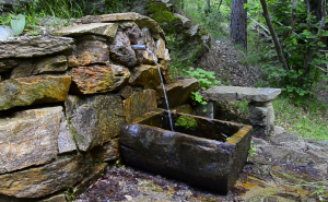 hd-mineral-water-spring-in-forest-old_eoc77z_ke__f0000